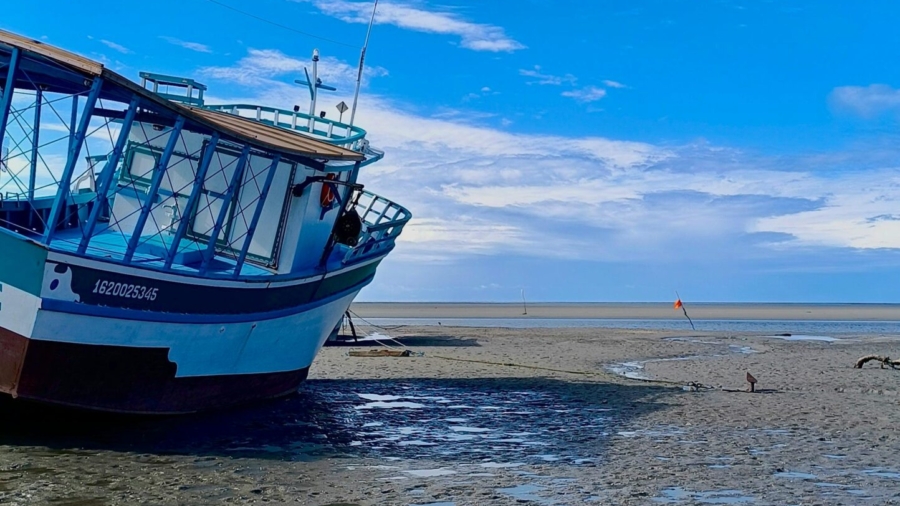 pexels-biasousamkt-1308234522-30256415